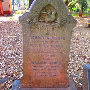 DUKES William James -1928 & Lelia LANGTON -1949 :: DUKES Horace Clifford -19?_2