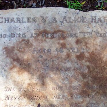 HARVEY Alice Mable Vivian -1897