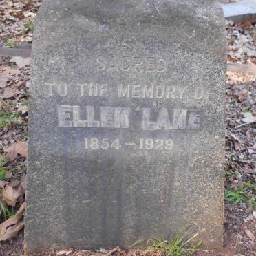 LANE Ellen 1854-1929