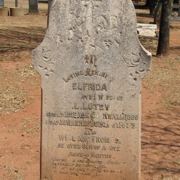 LUTEY Elfrida 1869-1892 :: LUTEY William Thomas