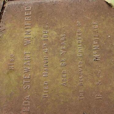 McNEILAGE Hilda Stewart Winifred -1904