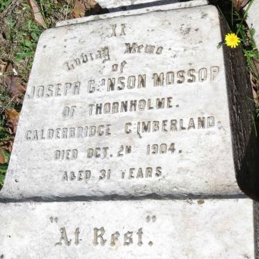 MOSSOP Joseph Gunson -1904