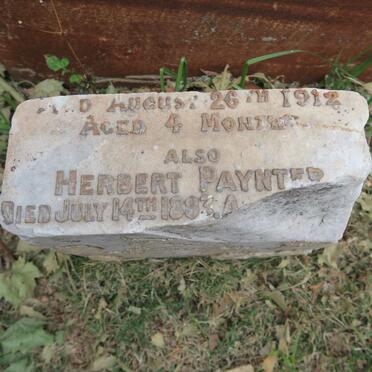 PAYNTER Herbert -1893 :: ? -1912