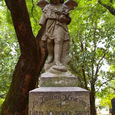 SHORT Louis Wepener -1905