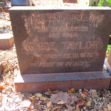 TAYLOR Alice 1898-1976 