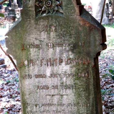 TRIGWELL John F.H. -1904