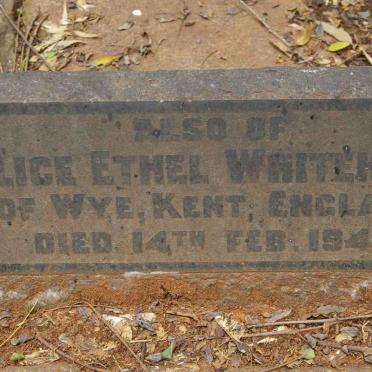 WHITEHEAD Alice Ethel -1948