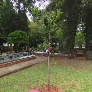 W - Surnames :: Vanne - W