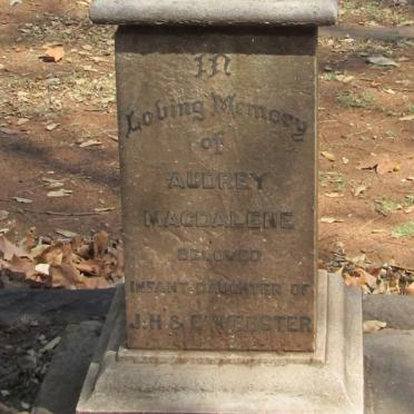 WEBSTER Audrey Magdalene 1915-191?