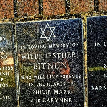 BITNUN Wilde 