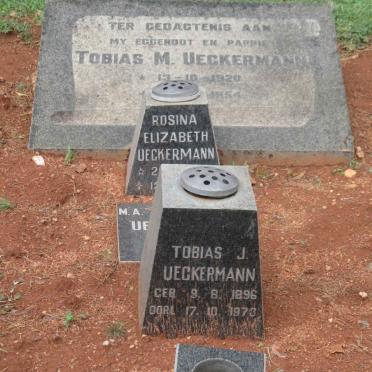 1. UECKERMANN family
