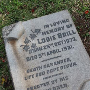 BRILL Lodie 1873-1931