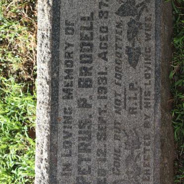 BRODELL Petrus P. -1931