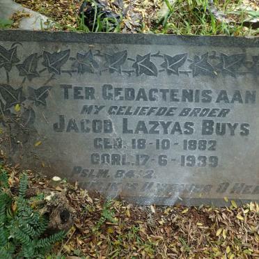 BUYS Jacob Lazyas 1882-1939
