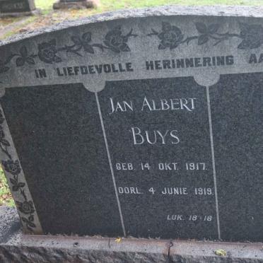 BUYS Jan Albert 1917-1919
