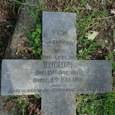 ? Miemie 1910-1916