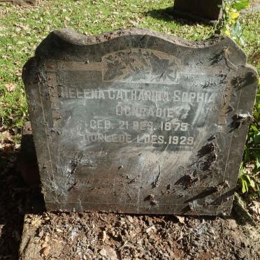 CONRADIE Helena Catharina Sophia 1875-1929