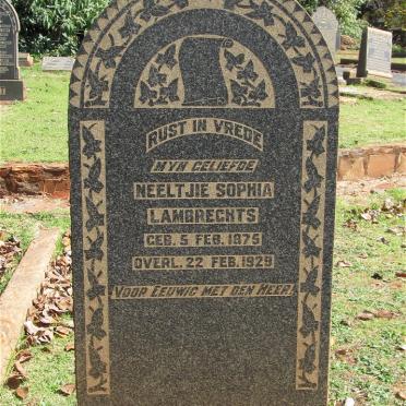 LAMBRECHTS Neeltjie Sophia 1875-1929