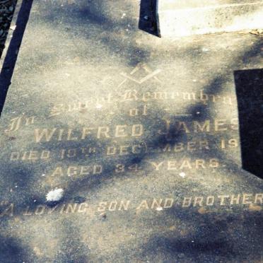 MURLEY Wilfred James -1937 :: MURLEY James Frederick -1944 & Cecilia Florence SCHUBACH -1958