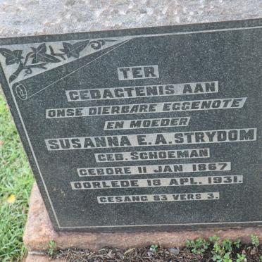 STRYDOM Susanna E.A. nee SCHOEMAN 1867-1931