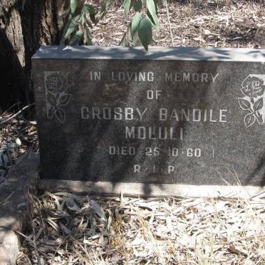 MDLULI Crosby Bandile -1960