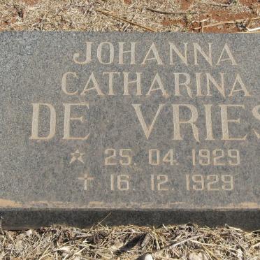 VRIES Johanna Catharina, de 1929-1929