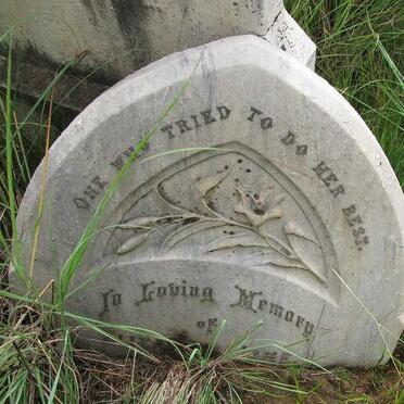 ROWE Elizabeth Jane -1903