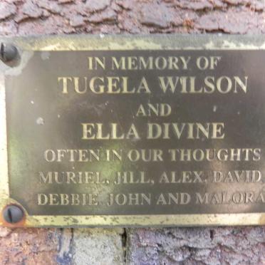 WILSON Tugela :: DIVINE Ella