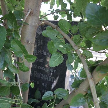 1. Unknown :: Illegible graves