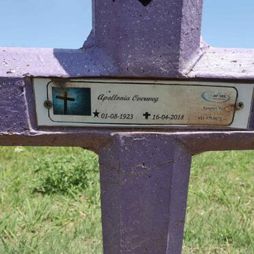 O - Surnames :: Vanne - O