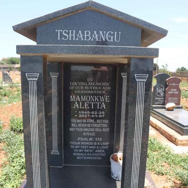 T - Vanne :: Surnames - T