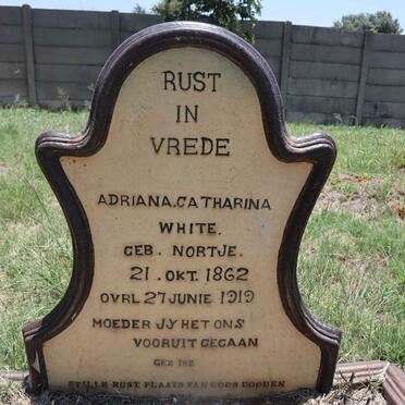 WHITE Adriana Catharina nee NORTJE 1862-1919