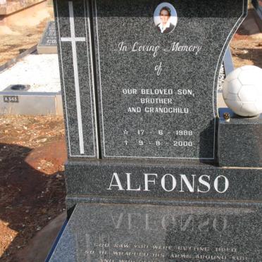 ? Alfonso 1988-2000