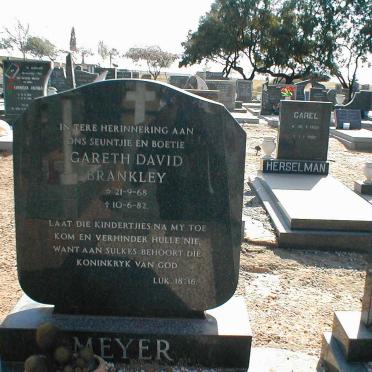 MEYER  Gareth David Brankley 1968-1982