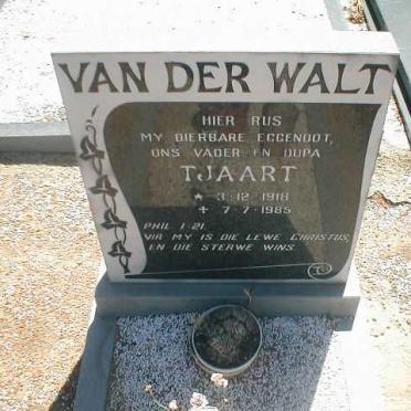 WALT Tjaart, van der 1918-1985