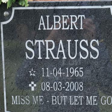 STRAUSS Albert 1965-2008