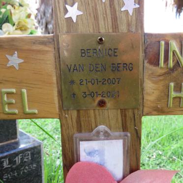 BERG Bernice, van den 2007-2021