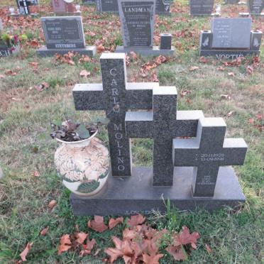 MOLINO Carlo 1928-1998