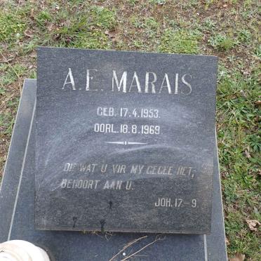 MARAIS A.E. 1953-1969
