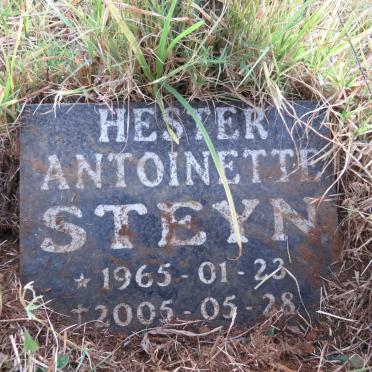 STEYN Hester Antoinette 1965-2005