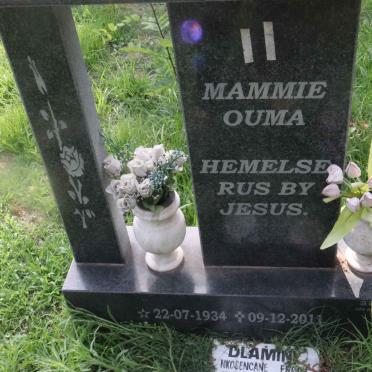 VERMEULEN Susanna 1934-2011