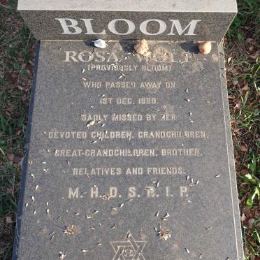WOLF Rosa previously BLOOM -1999