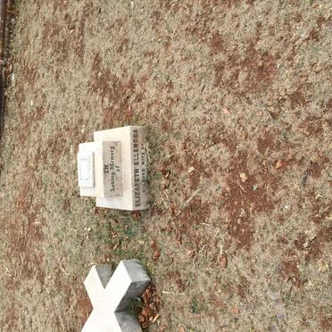 ? Elizabeth Ellenora -1908