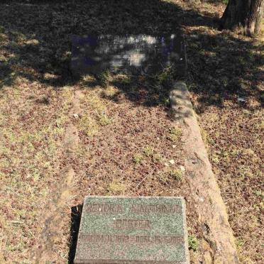 BESTER Hendrik Marthinus 1872-1954 &amp; A.A. DELPORT 1874-1928
