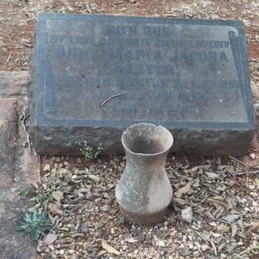 BESTER Anna Maria Jacoba 1880-1943