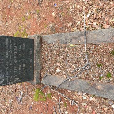 BEESLAAR Attie 1941-1943