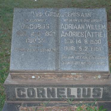 Co - Surnames starting with the letters Co