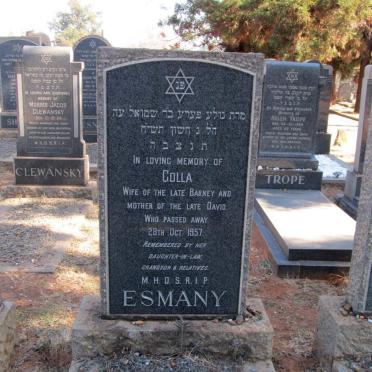 E - Surnames :: Vanne - E
