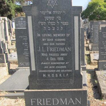 FRIEDMAN J.L. -1956