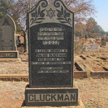 GLUCKMAN Julius -1916